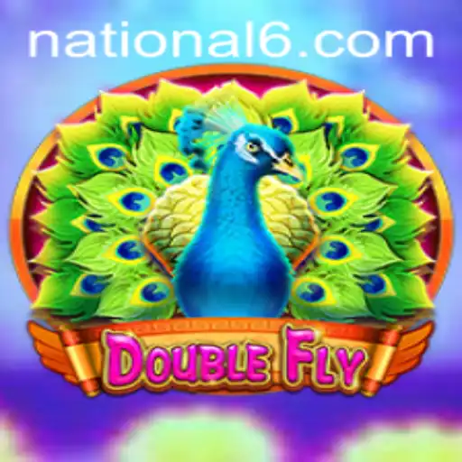DoubleFly: A Deep Dive into the Skyward Adventure